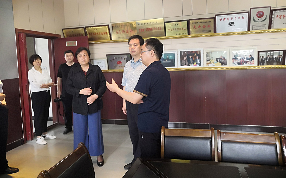 省委軍民融合辦主任及市紀委書記檢查指導(dǎo)工作